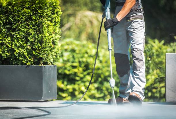 Best Window and Screen Pressure Cleaning in Mount Zion, IL