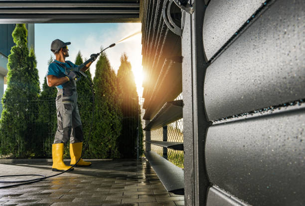 Best Gutter Cleaning and Brightening in Mount Zion, IL