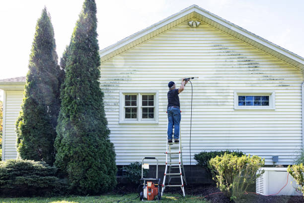 Best Graffiti Removal Services in Mount Zion, IL
