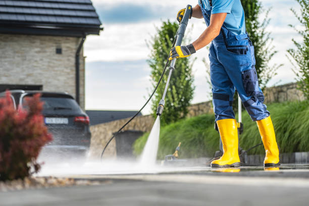 Best Soft Washing for Delicate Surfaces in Mount Zion, IL